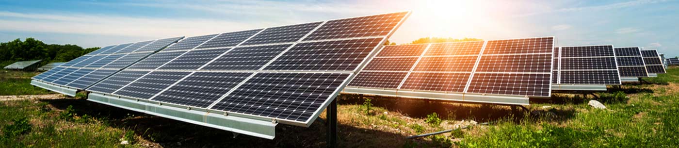 solar panels in a field